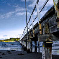 轰炸手机号信息软件免费版