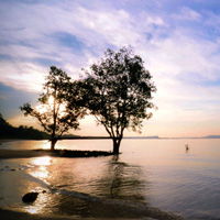 打爆别人电话的软件