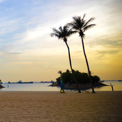 交易担保无忧的免费轰炸网页版