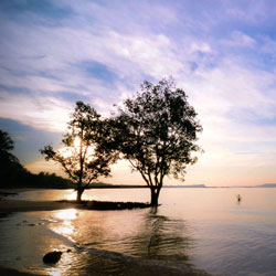 轰炸手机号信息软件免费版